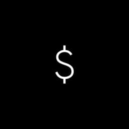 Your income