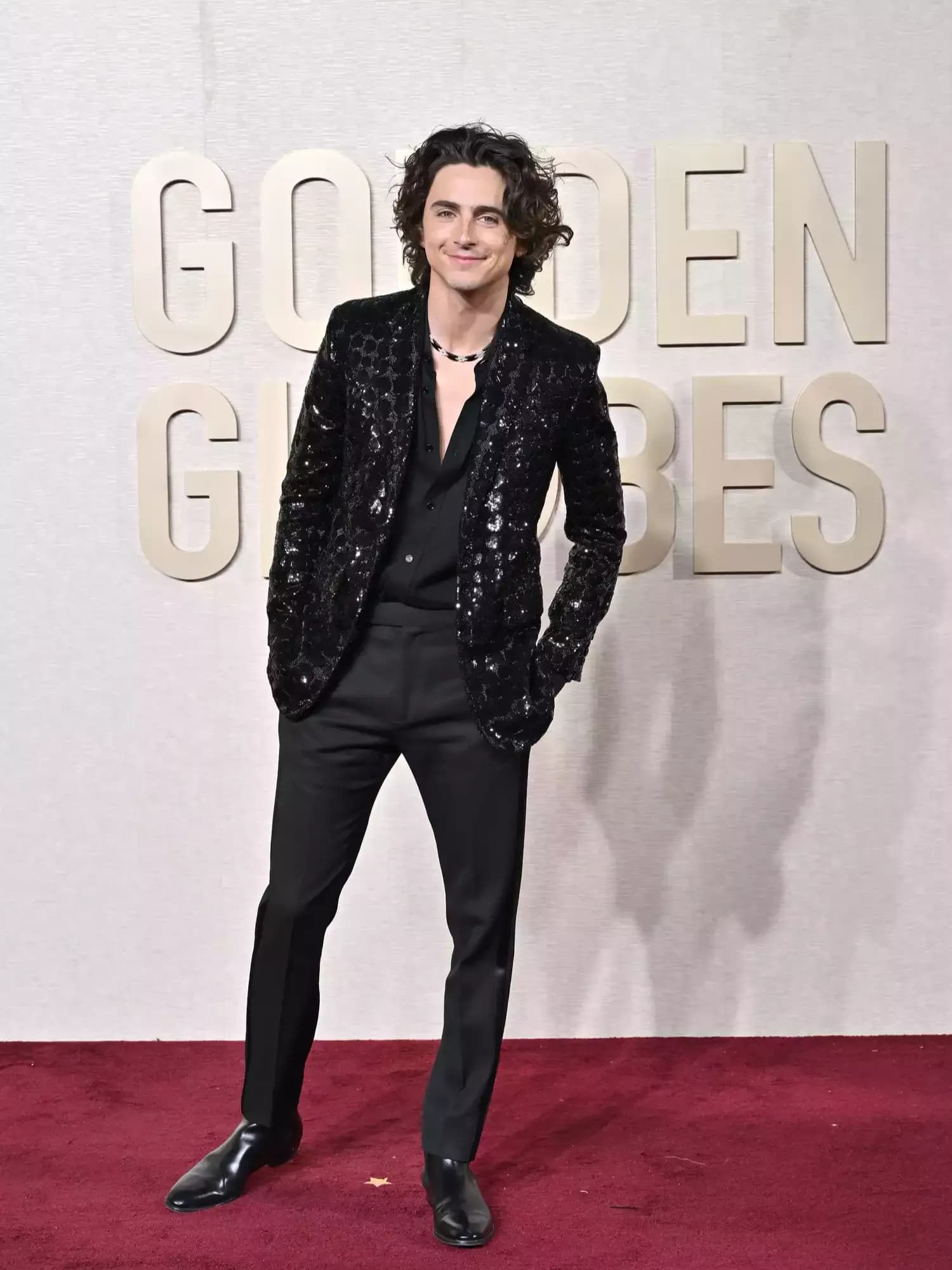 Timothée Chalamet's Boldest Red Carpet Fashion Moments