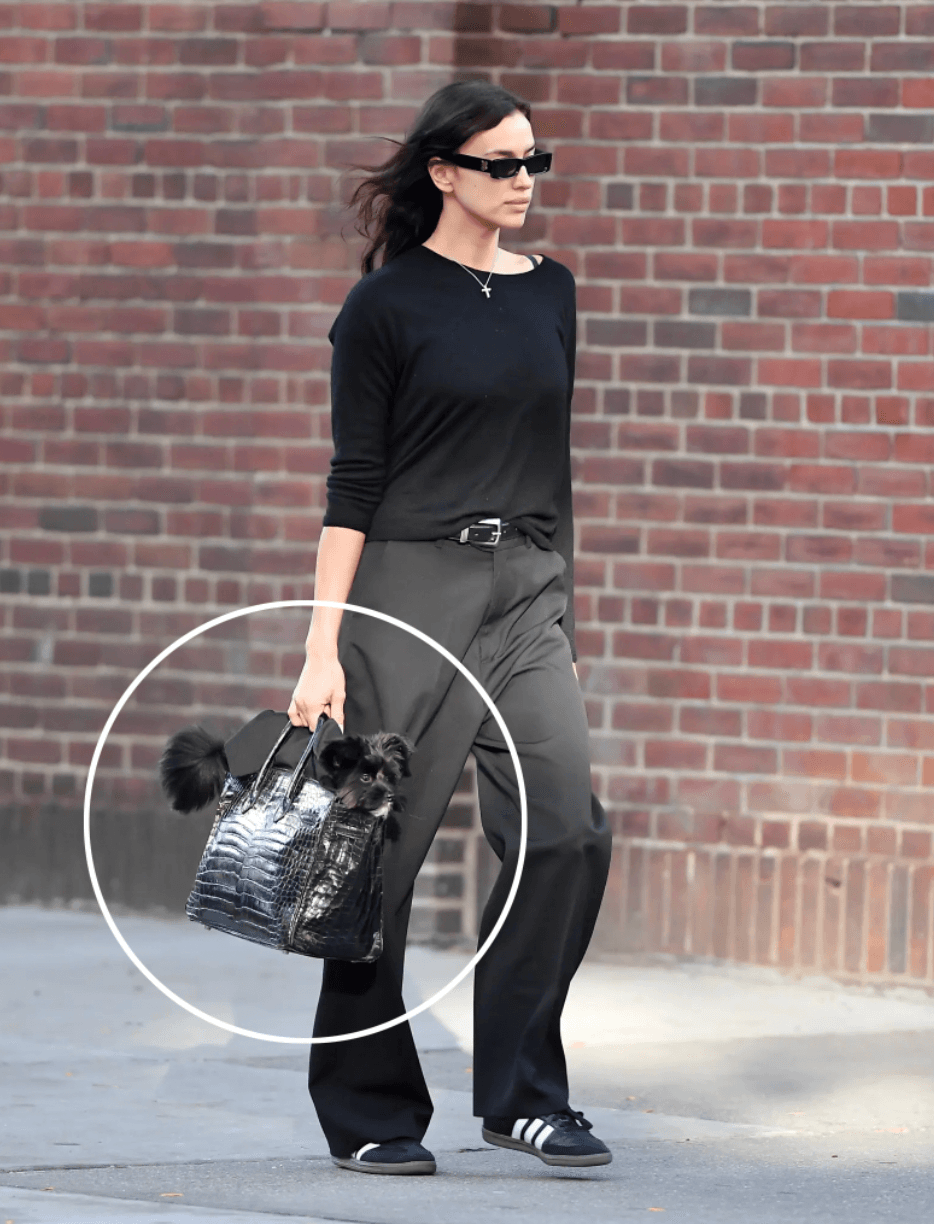Irina Shayk, 37, was seen in New York on Monday, casually clad in black, toting her dog in a $70,000 Hermès Birkin bag and wearing $150 Adidas Sambas.