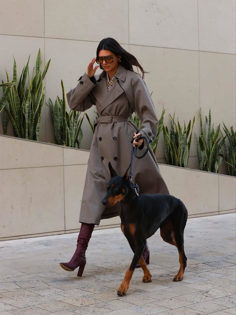 Kendall Jenner's Love for Bottega Veneta Styles Persists