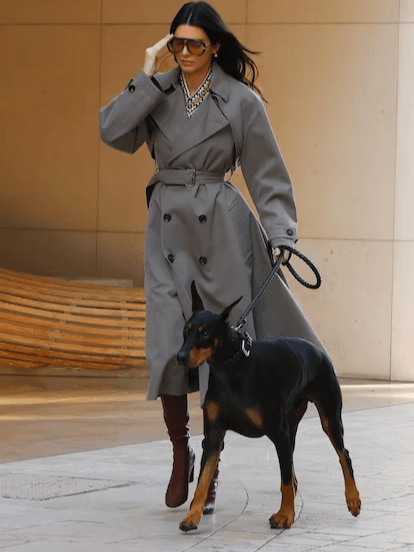 Kendall Jenner's Love for Bottega Veneta Styles Persists